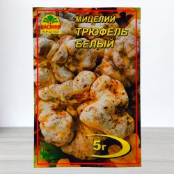 Міцелій гриба Трюфель білий, 5г